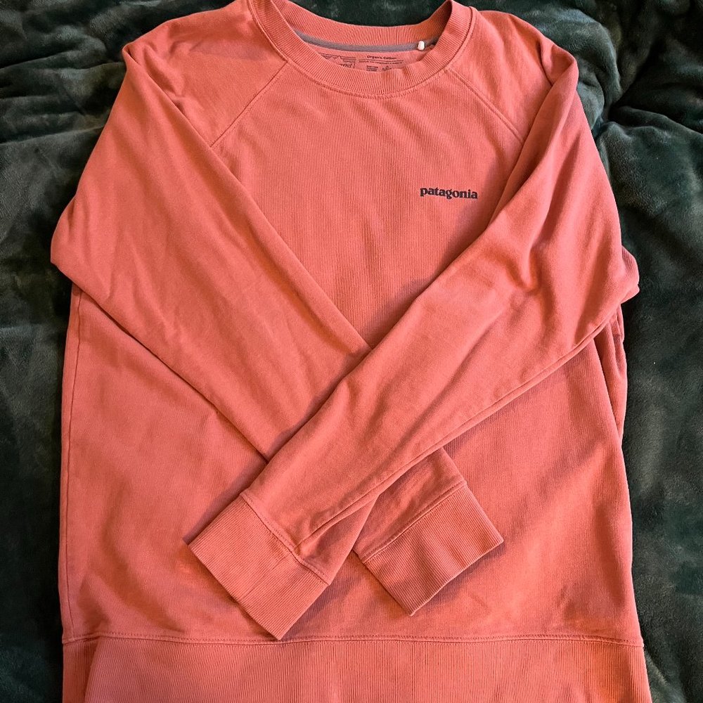 Patagonia Crew Neck, Men's Large